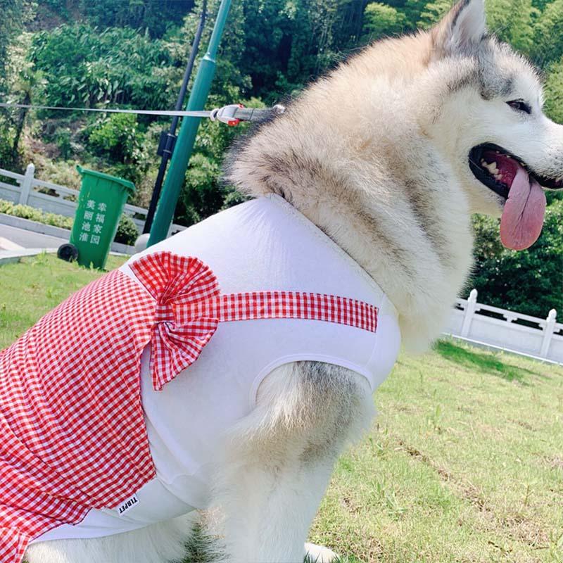 Disfraz de princesa a cuadros para labrador, Golden Retriever y perros grandes
