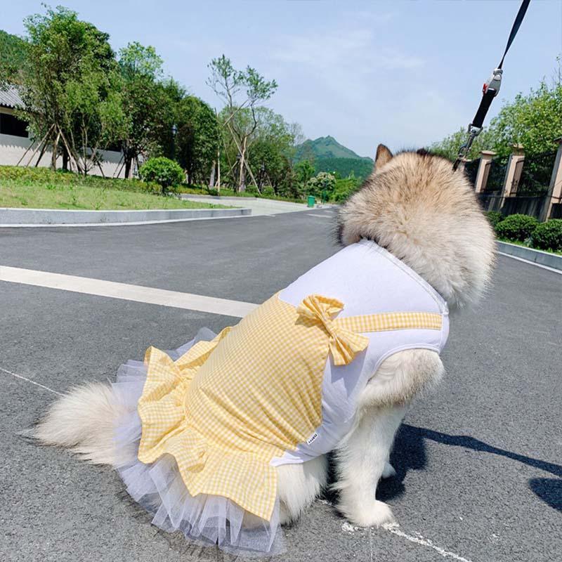 Disfraz de princesa a cuadros para labrador, Golden Retriever y perros grandes