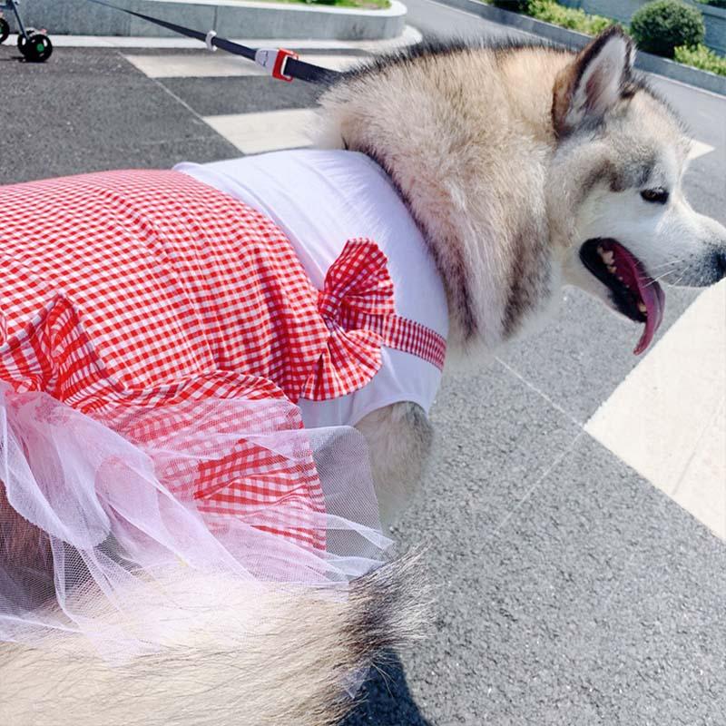 Disfraz de princesa a cuadros para labrador, Golden Retriever y perros grandes