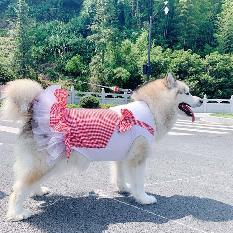 Disfraz de princesa a cuadros para labrador, Golden Retriever y perros grandes