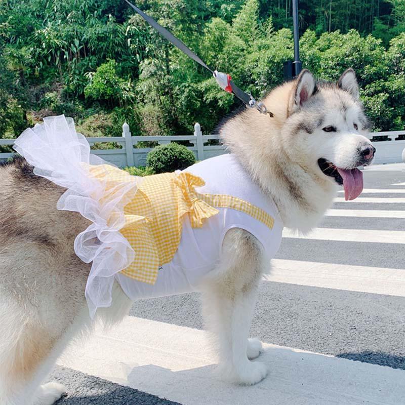 Disfraz de princesa a cuadros para labrador, Golden Retriever y perros grandes