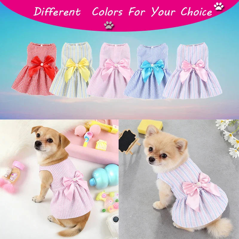 Vestido Princesa Floral Mascota