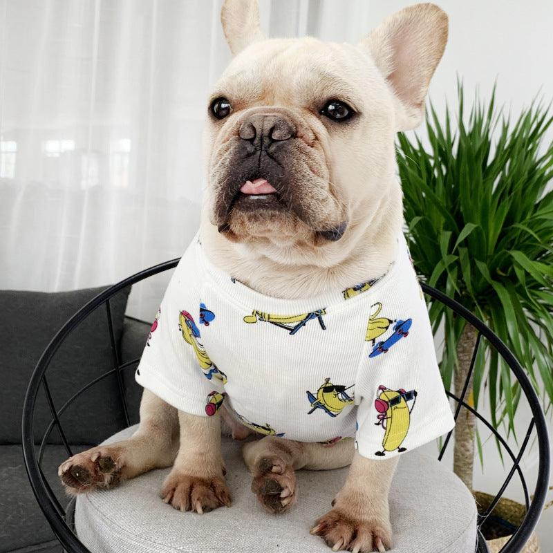 Traje a juego con mascotas: Ropa elegante y cómoda para padres e hijos