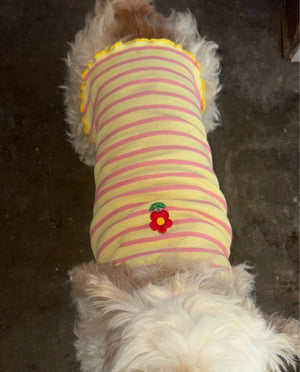 A7d54237a52d5451fab093e067e867cd4q.jpg
