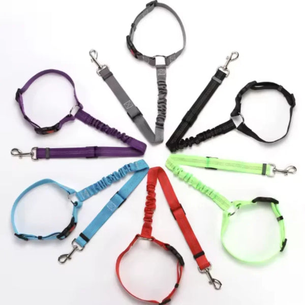 Cinturón de Seguridad Reflectante para Perros