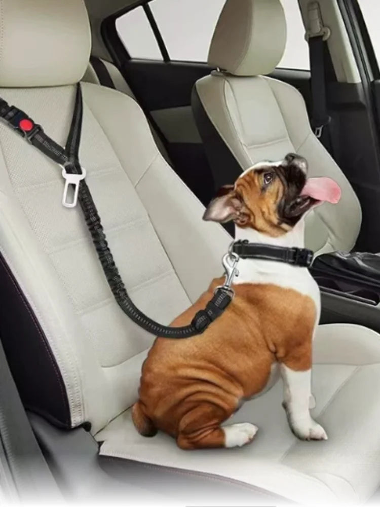 Cinturón de Seguridad Reflectante para Perros
