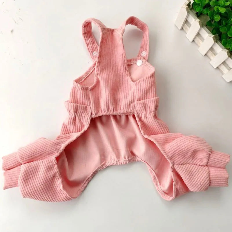 Mono Adorable para Perros