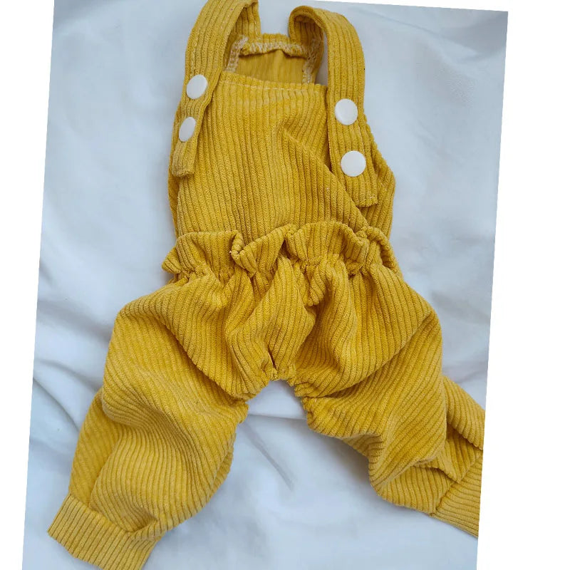 Mono Adorable para Perros