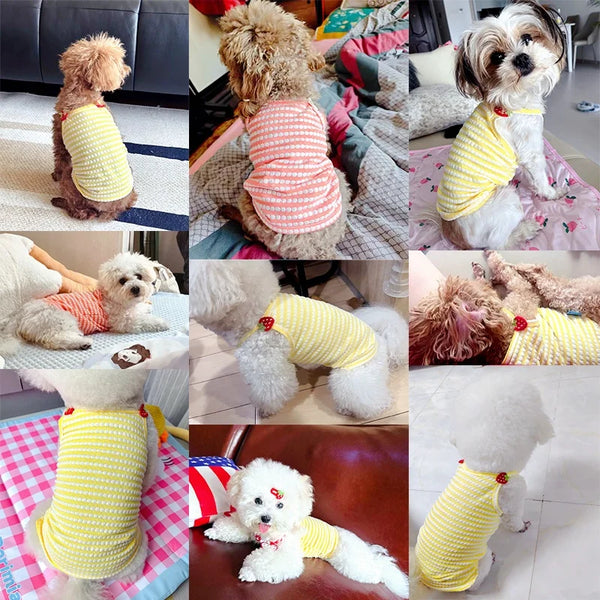 Chaleco Fresco para Mascotas
