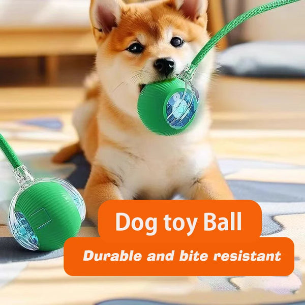 New-Dog-Interactive-Ball-Toy-Automatic-Rolling-Dog-Ball-Rechargeable-Smart-Puppy-Interactive-Toy-Intelligent-Balls.jpg