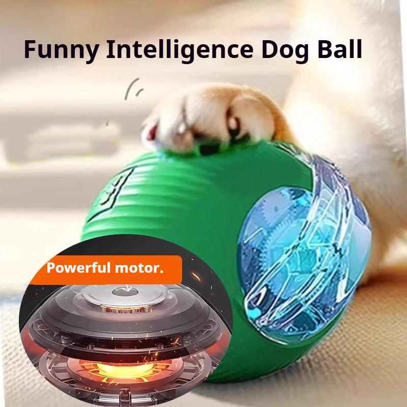 Pelota Inteligente para Perros