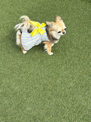 S0349b5ddd0df48a5bbbf746fe4fb1bc9k.jpg
