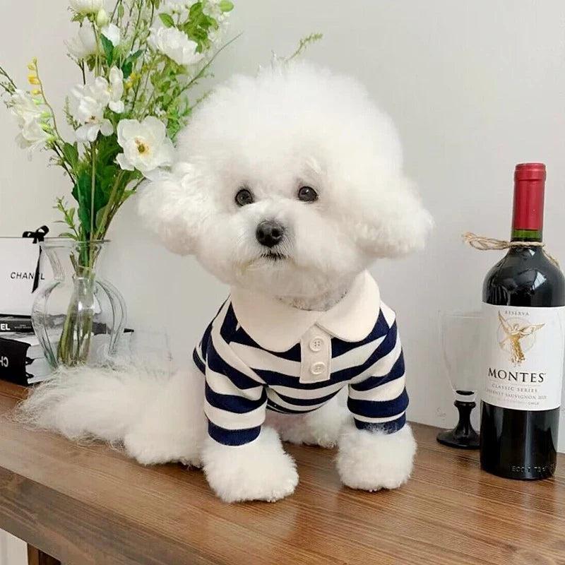 Polo de verano