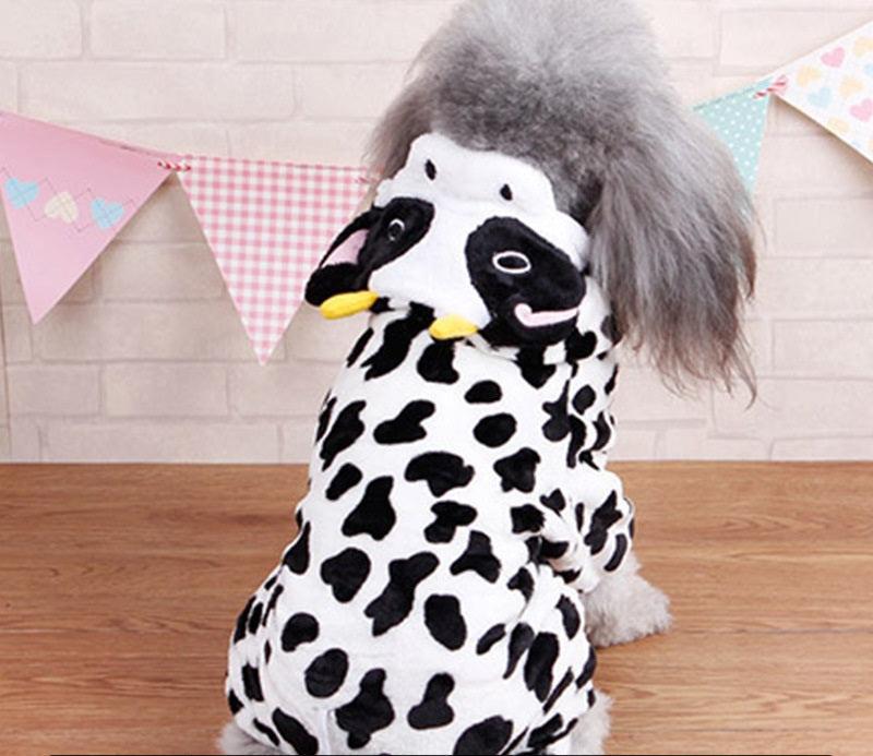 Colección de disfraces de perro