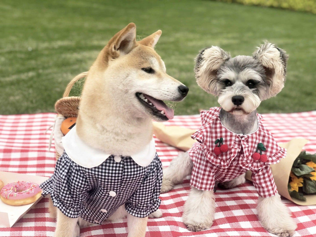 Camisa de verano a cuadros para perros: elegante y transpirable para perros pequeños