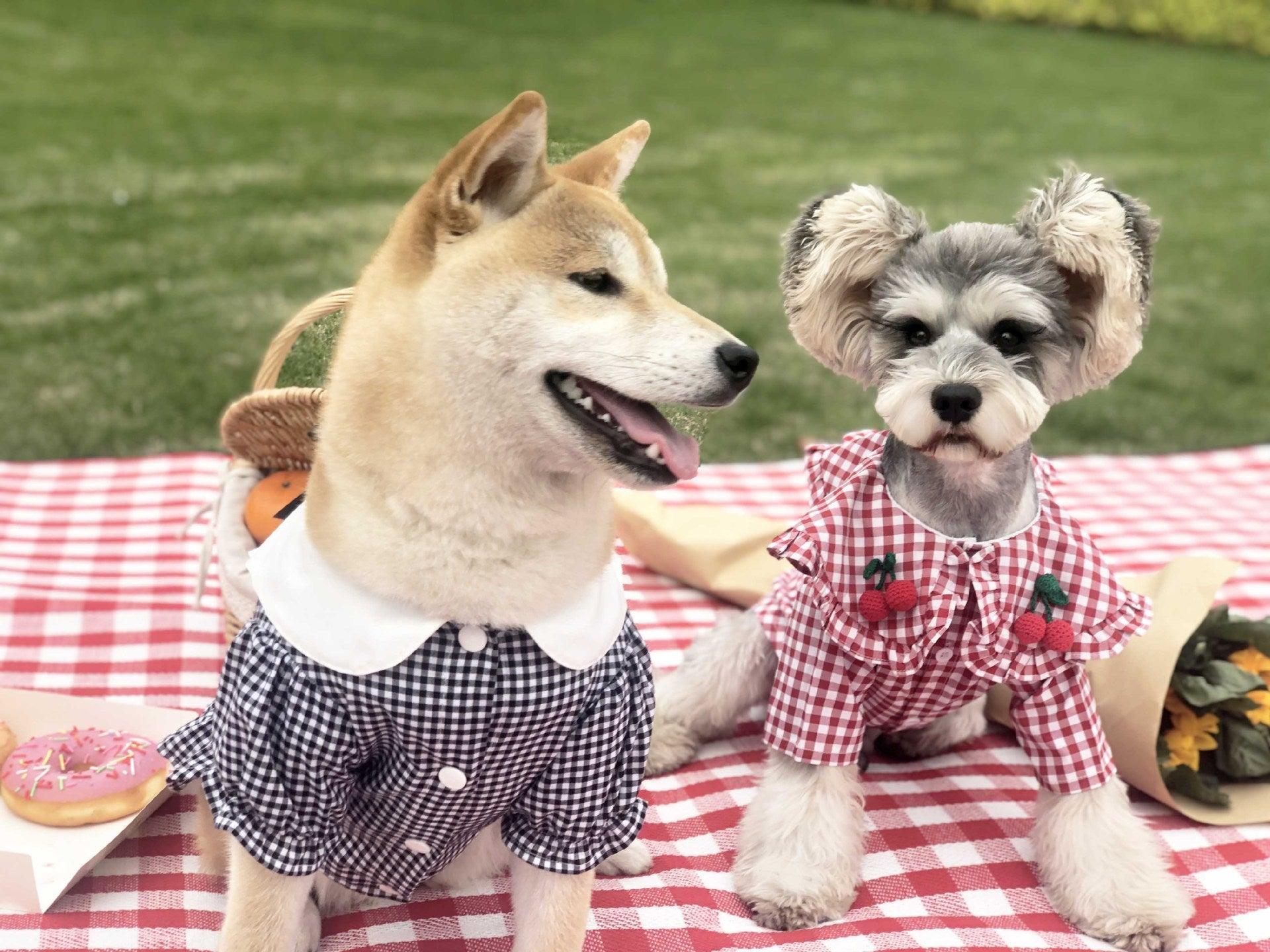 Camisa de verano a cuadros para perros: elegante y transpirable para perros pequeños