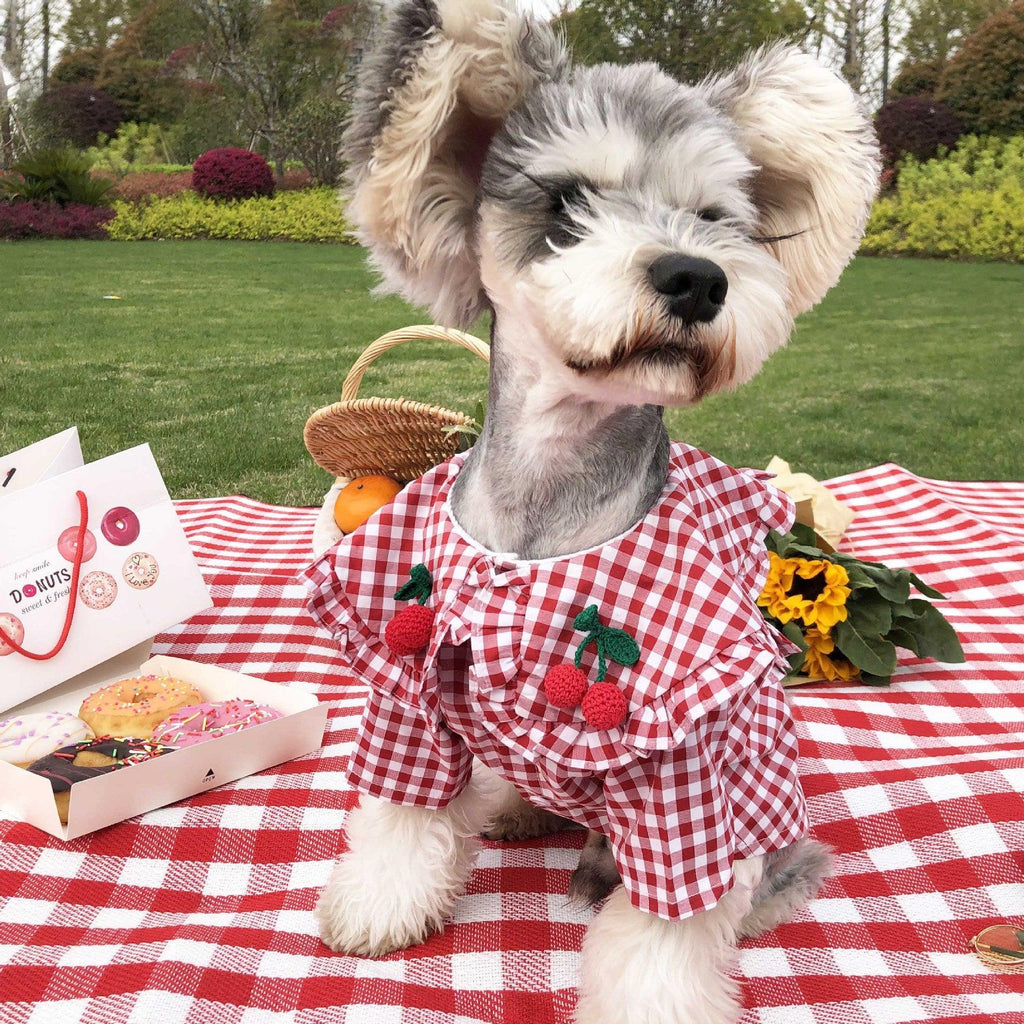 Camisa de verano a cuadros para perros: elegante y transpirable para perros pequeños