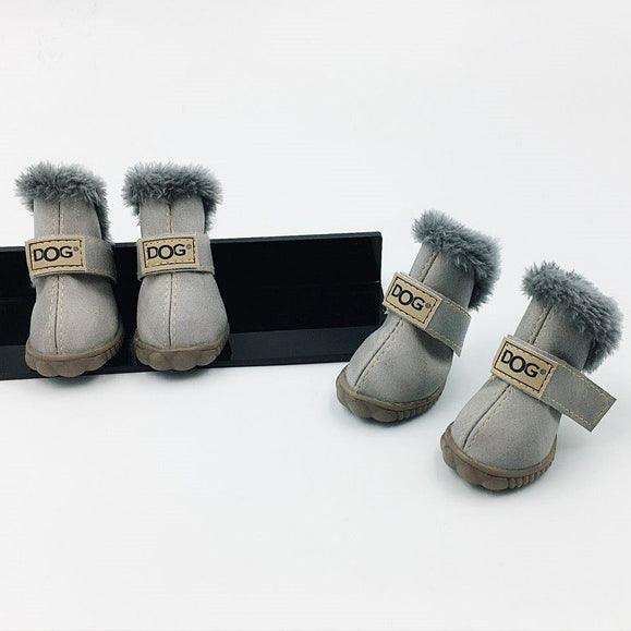 calzado elegante y cálido para tu amigo peludo